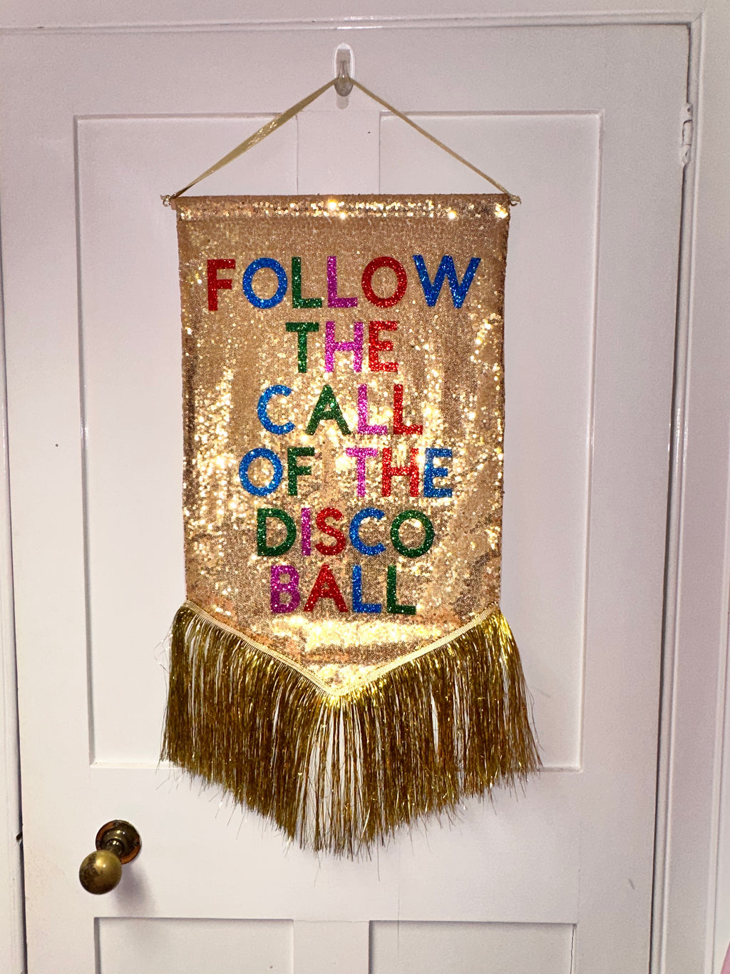 Follow The Call ofThe Disco Ball Banner