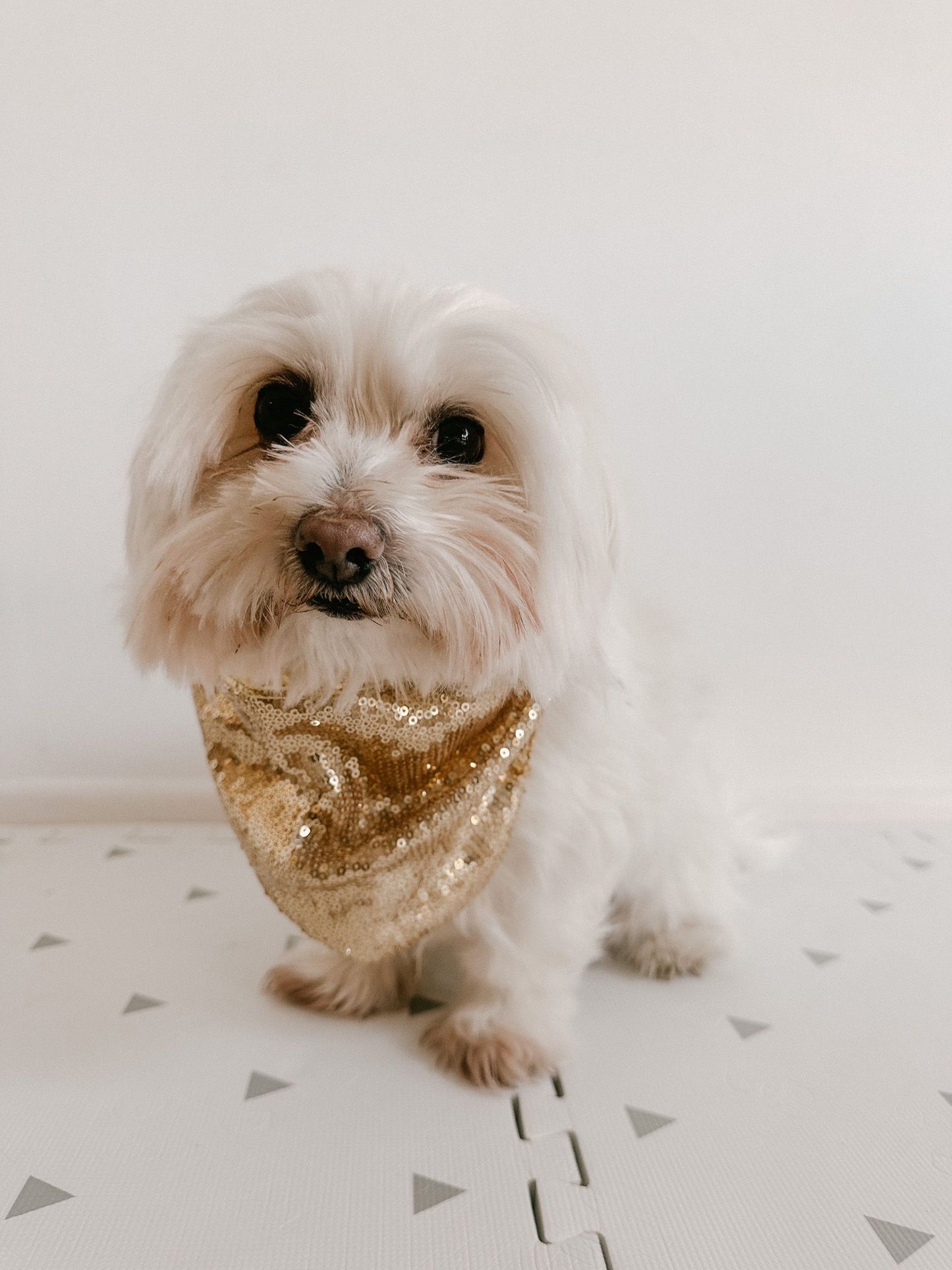 Dog Bandanas-Ready Made