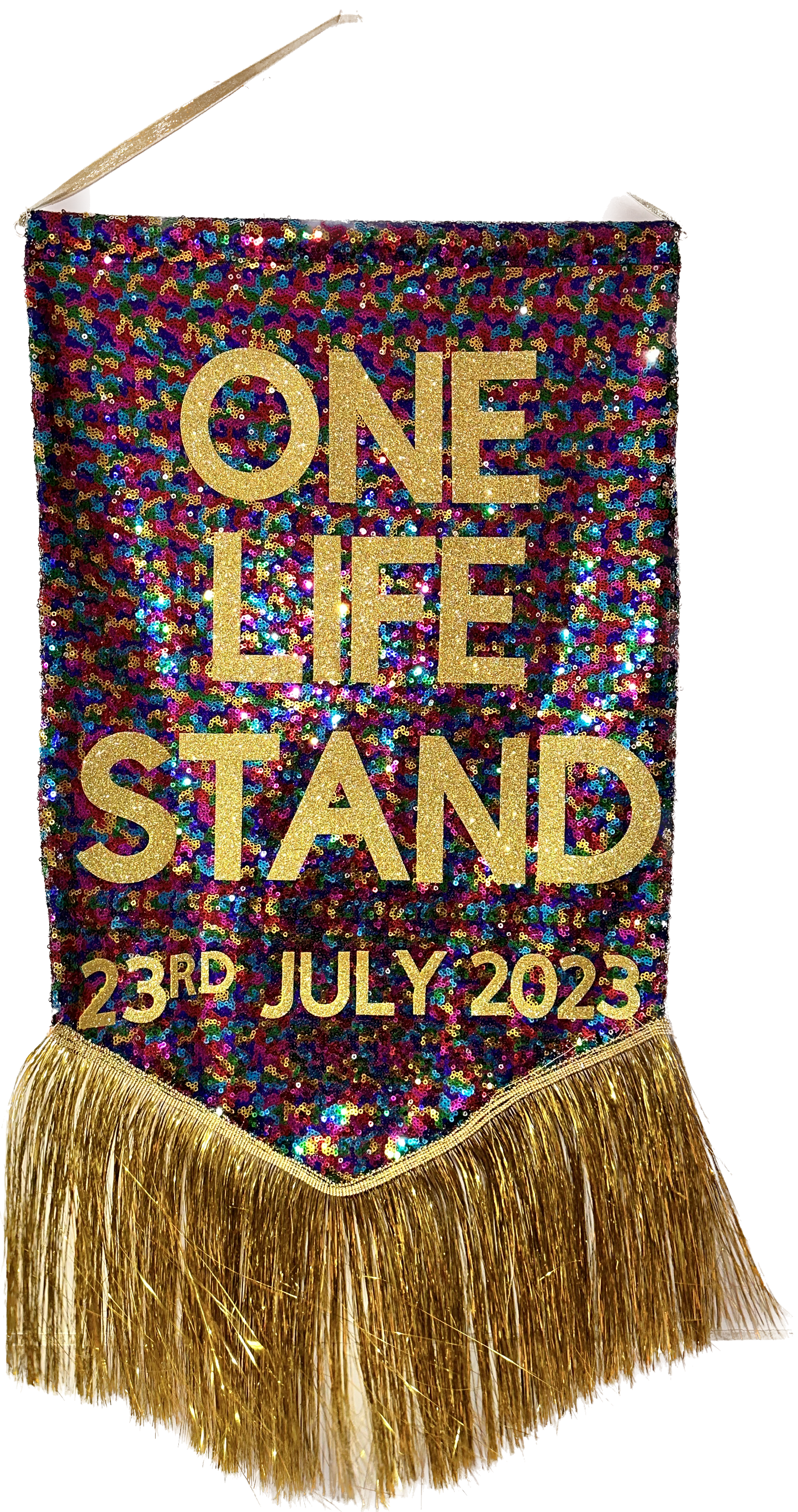 Midi Size Customisable Sequin Banner Wall Hanging 40cm x 80cm