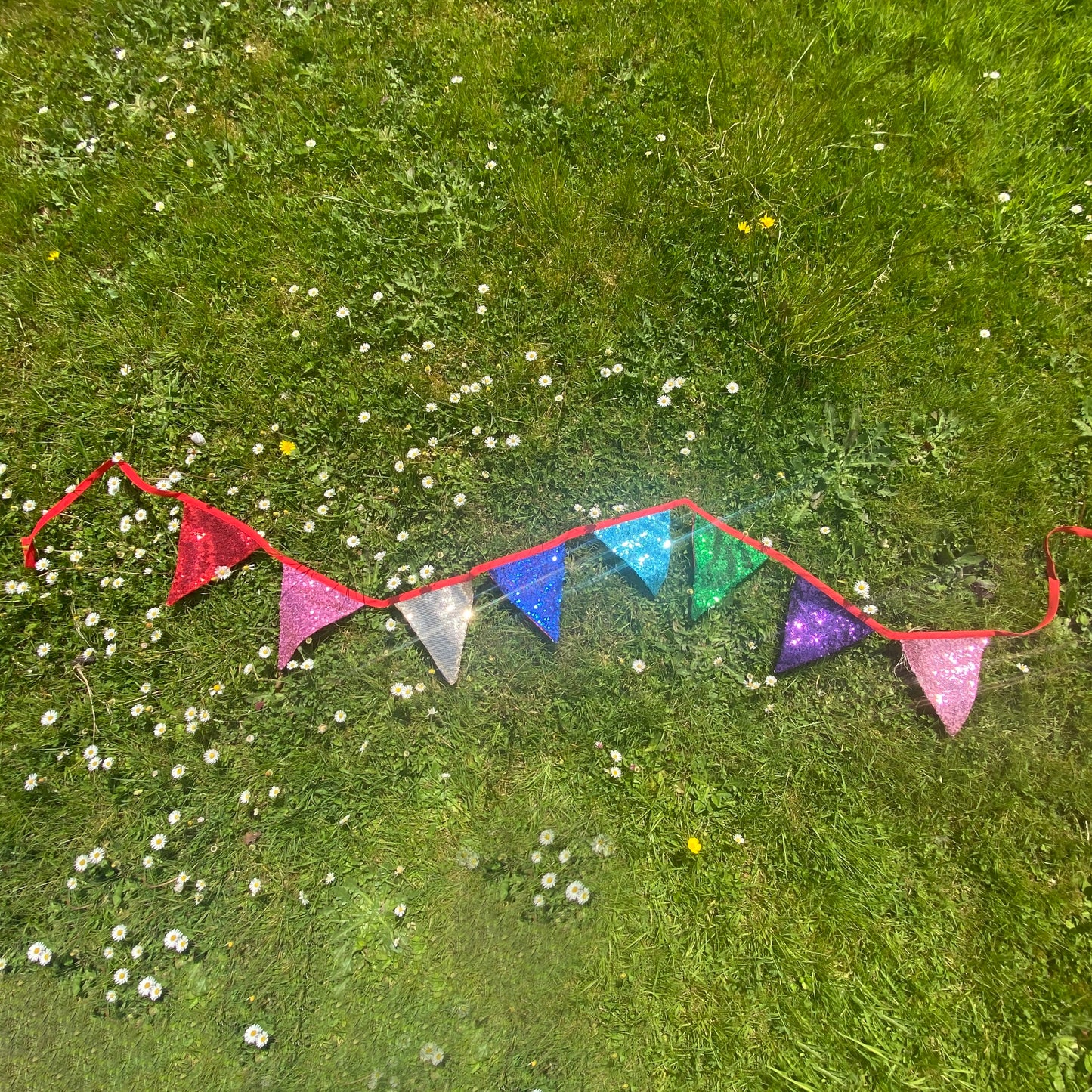 Sequin Bunting